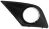 PHIRA 207-09143 Radiator Grille